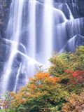 日本復興,トフラー,プロシューマ活動
